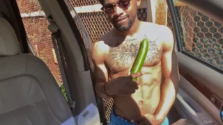 Quarantine Chronicles #1